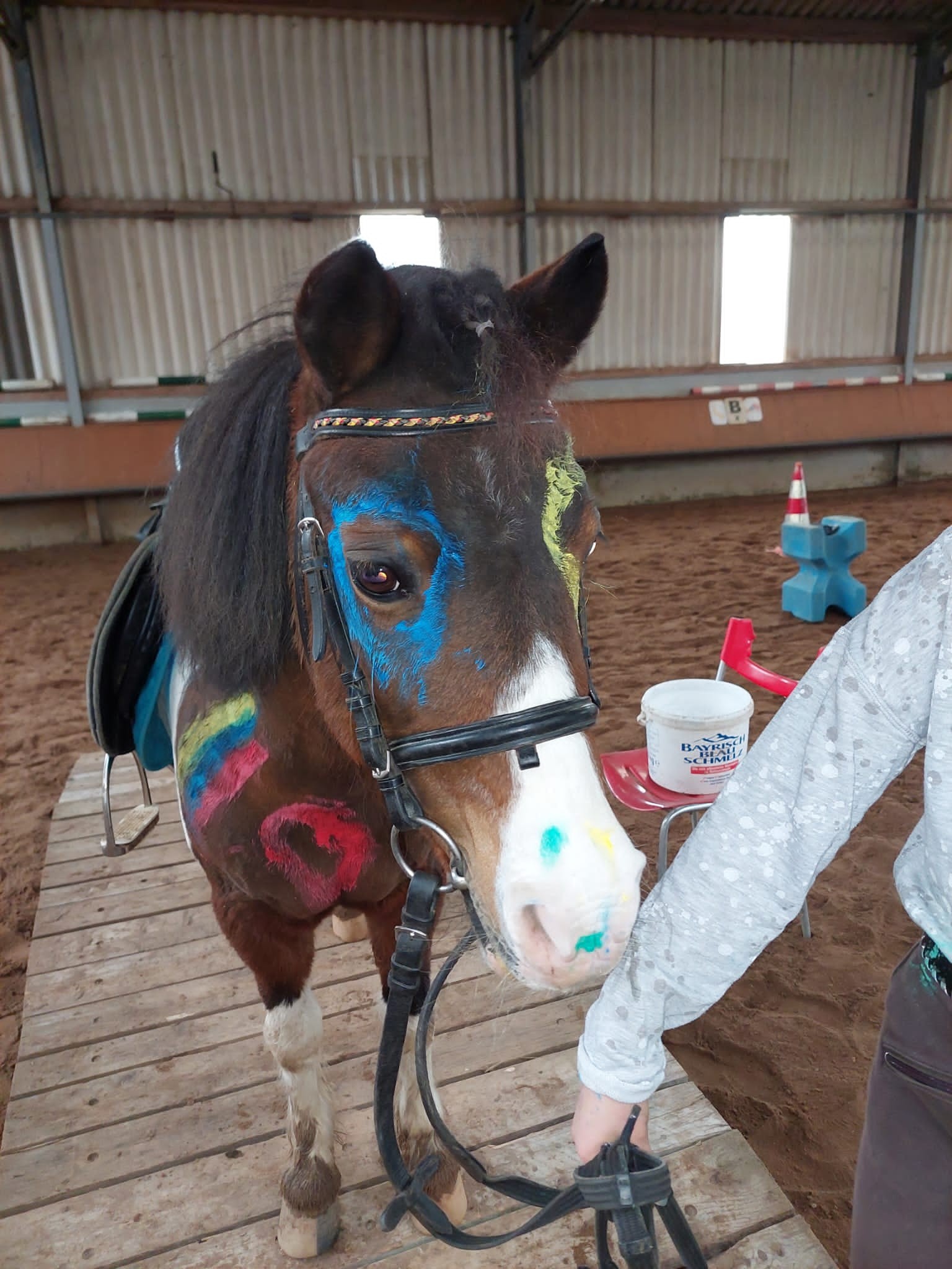 PHOTO-2023-02-19-12-08-39 2